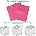 Royexe - Storage Cubes - (Set of 8) Storage Baskets | Features Dual Handles & 10 Label Window Cards | Cube Storage Bins | Foldable Fabric Closet Shelf Organizer | Drawer Organizers and Storage (Pink)