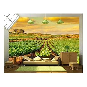 View of a Vineyard with Ripe Grapes in a Mediterranean Country at Sunset - Removable Wall Mural | Self-Adhesive Large Wallpaper - 66x96 inches