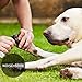 Dog Nail Grinder, Electric Pet Nail Trimmer for Dogs/Cats, Rechargeable USB Charging Pet Nail Grinder Grooming, Shaping, Trimming, Smoothing for Small, Medium, Large Pets