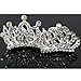 kilofly 12pc Mini Princess Party Favor Crown Crystal Rhinestone Tiara Hair Comb Clip