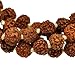 Tibetan 108 Shiva Yoga Rudraksha Seeds Mala Prayer Beads Necklace (Yellow Tassel Knotted)