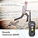 PATPET Shock Collar for Dogs – IPX7 Waterproof Dog Shock Collar with Remote IPX5 3000ft Range No Harm Dog Training Collar Fast Training Effect for Small Medium Large Dogsthumb 1
