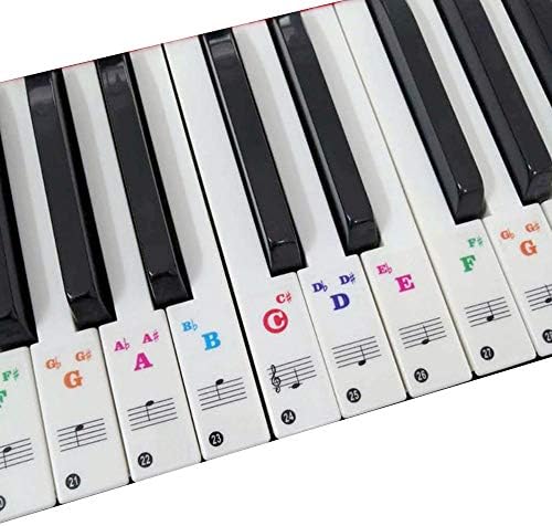 Pichidr Jp ピアノステッカー キーボード ピアノキーステッカー ステッカー 剥がせる フィンガープラクティス 初心者 ピアノ練習 音符シール 取り外し可能 ガイド 37 61 54 49 フルセットステッカー 透明 低価格化