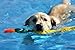 DOGGLES - GET WET - FLOATING DOG PET TOY - Yellow Duck