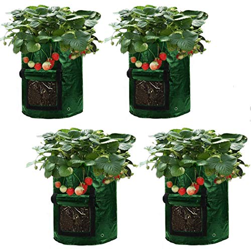 Buy Asunflower 10 Gallon Potato Grow Bags, 4 Pack Garden ing Bags