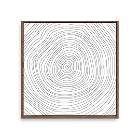 Framed Canvas Wall Art Annual Trajectory Canvas Prints Home Artwork Decoration for Living Room,Bedroom - 16x16 inches