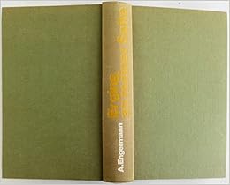 Er Ging An Meiner Seite Krieg In Der Heimat 1944 45 Amazon De A Engermann Bucher