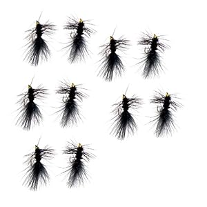 Sharplace 10 Pcs / Set Nymphe Et Streamer Fly Leurre Pour Pêche à La Mouche Truite Mouches