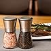 Original SpiceCrafts Glass Stainless Steel Dual Salt and Pepper Grinder Mill Set