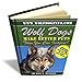 Wolf Dogs Make Better Pets Than You Can Imagine