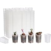 BangQiao 180 Pack 1.95 Inch Tiny Clear Plastic Square Nursery and Seedling Pot, Mini Deep Transplant Seed Starter Planter with Drain Hole for Germination, Herb, Succulent