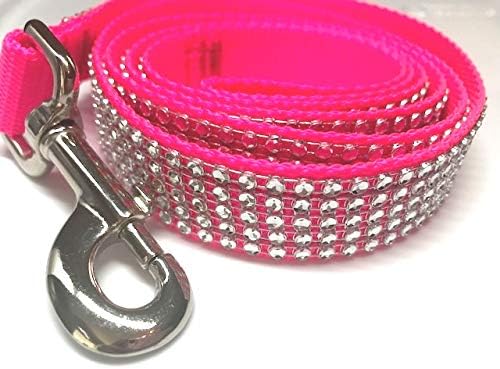 jack russell terrier olx