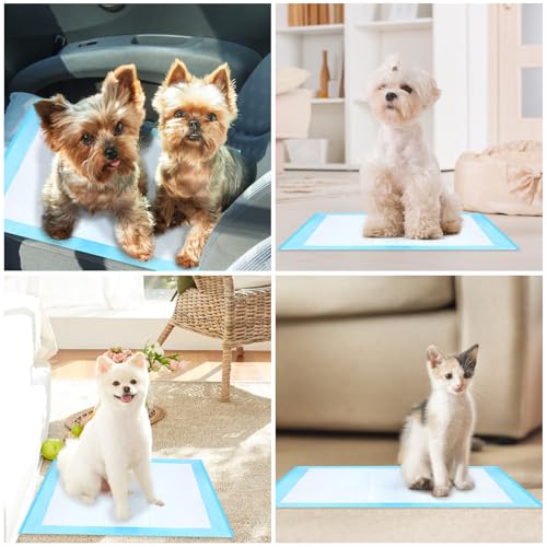 Pack of 100 Dog Pads, 33 x 45 cm Disposable Hygienic Pet Mats, Training and Training Wipes, Absorbent, Leak Resistant, Breathable