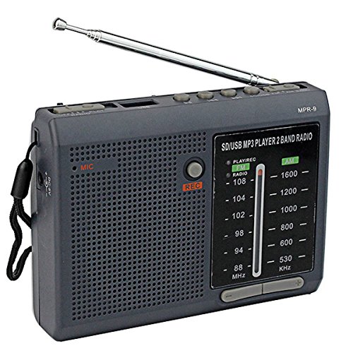 Приемник a4tech. Degen de201. радиоприемник audiomax. degen de1103. mvt fm 800-dt.