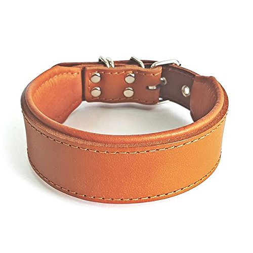 Bestia "Classic padded leather dog collar. Hand made in Europe. Up to 2 inch width, 100% leather, 7 sizes