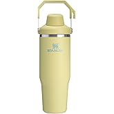 Stanley IceFlow 2.0 Fast Flow Tumbler with Handle 30 oz | Twist On Angled Spout Lid | Leakproof Water Bottle | Insulated Stainless Steel | BPA-Free | Pomelo