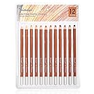 Dainayw Soft Skin Tone Pastel Pencils,5mm Core,12 Piece Premier Colored Pencils For Artist Drawing,Sketching - Portrait Set