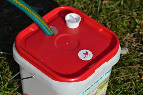 2 Gallon Chicken Waterer - Horizontal Nipple Setup (4 Nipple Corner)