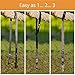 YA-YA Swing Hammock Tree Hanging Kit - Long Non-Stretch 6 ft. Strap + Heavy Duty Carabiner with Safety Lock + Carry Pouch - Holds 1000 lbs. - Detailed Hanging Instructions - Free Swivel & EBook