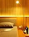 Sterl Lighting – 21 Watt T5 Fluorescent Bulbs Tube G5 Light Mini 2 Pin Base 120/220 Volts 33.42 Inch 1470Lm F21T5 /WW Manufacturing Facility Tubular Linear Fixtures 3000K Warm White – 8 Pack