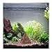 Amakunft Egyptian Pyramids Resin Aquarium Ornament, Reptile Shrimp Fish Hideouts Hiding Cave Fish Tank Landscaping Ornament (3 Packs)