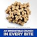 Hill's Grain Free Crunchy Naturals Treats, All Life Stages, Great Taste, Dog Treats, Chicken & Apples, 8 oz Bag