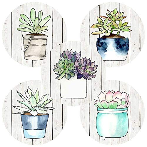 Succulent Plant Party Favors Sticker Labels - Wedding Bridal Baby Shower Envelope Seals - Set of 50