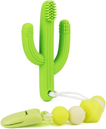 teething cactus