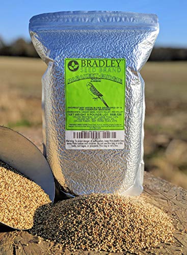 Bradley’s Champion Parakeet Food