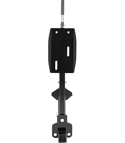 Amazon.com: Roadmaster 195225-S Spare Tire Carrier with 2
