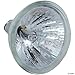 Pentair American Products AmerLite Pool Light Bulb 75W 12V 2-Pin Halogen MR-16 79112400