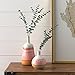 Amazon Brand – Stone & Beam Modern Round Ceramic Home Decor Flower Vase - 7 Inch, Coral White Tan