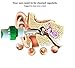 Ear Tools Curette , Electric Vacuum Ear Cleaner (White green)