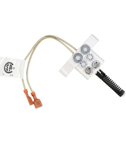 Amazon.com: Zodiac Champlain Plastics R0719400 Electronic Flue
