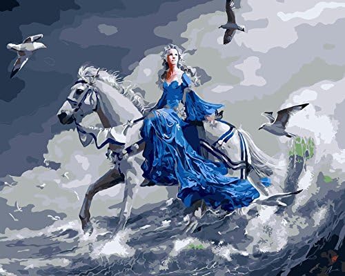 Fengtuo DIY Oil Painting Paint by Number Kit Canvas Painting Hand Colouring Decorative Picture-Woman on Horse 16"X 20" - Framed