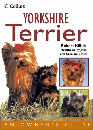 Yorkshire Terrier (Collins Dog Owner�fs Guides) �y�[�p�[�o�b�N  - 2003/12/1