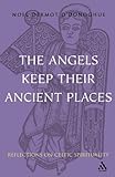 Angels Keep Their Ancient Places: Reflections on Celtic Spirituality 1st (first) Edition by O'Donogh by
