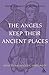 Angels Keep Their Ancient Places: Reflections on Celtic Spirituality 1st (first) Edition by O'Donogh by