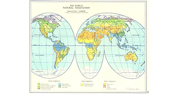Desert Colour In Map World. The World Natural Vegetation. Forest Grass Desert - 1962 - Old Map -  Antique Map - Vintage Map - World Maps : Home & Kitchen