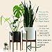 Fox & Fern New 10″ Plant Pot with Walnut Wood Base – Perfectly Fits Plant Stand – Drainage Plug – Outdoor Indoor – Matte Whitethumb 4