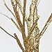 Bolylight LED Table Lamp Birch Money Tree Holder Night Light Centerpieces Great Decoration for Home/Christmas/Party/Festival/Wedding, 1.5ft Gold