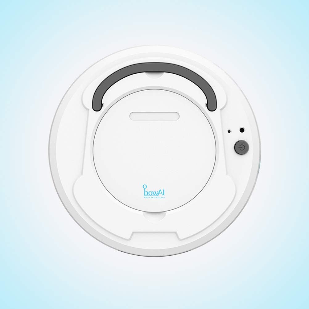 automatic vacuum for pet hair