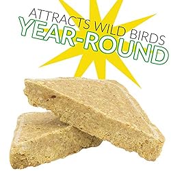 C&S Wild Bird Peanut Suet Treat, 56 Ounces, 6 Pack