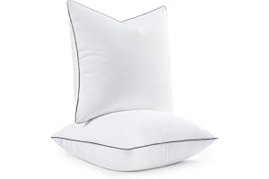 MIULEE 24x24 Euro Pillow Inserts, Fluffy Down Alternative Filling Pack of 2 Ultra Soft Throw Pillows for Bed Sofa Couch