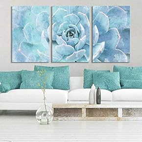Blue Succulent Closeup - 3 Panel Canvas Art