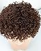 MyNiceHair-100% Pure Human Hair Curly Brown Colored 4# Wigs for Black Women
