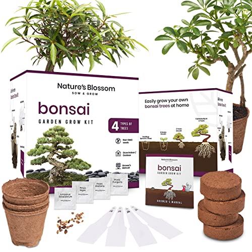 Nature's Blossom Bonsai Tree Kit 4 Types of Bonsai Seeds for Outdoor