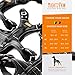 Mighty Paw Sport Harness 2.0 - Padded Canine Accessory - Adjustable Neck and Chest Straps - Enhanced Visibility with Reflective Stitching - Dog Padded Harness with Handle - Medium - Black