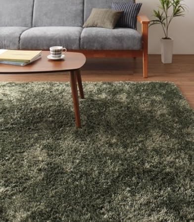 Amazon ミックスカラー マイクロファイバーシャギーラグ 190 190cm オリーブグリーン ラグ カーペット オンライン通販 Amazon ミックスカラー マイクロファイバーシャギーラグ 190 190cm オリーブグリーン ラグ カーペット オンライン通販