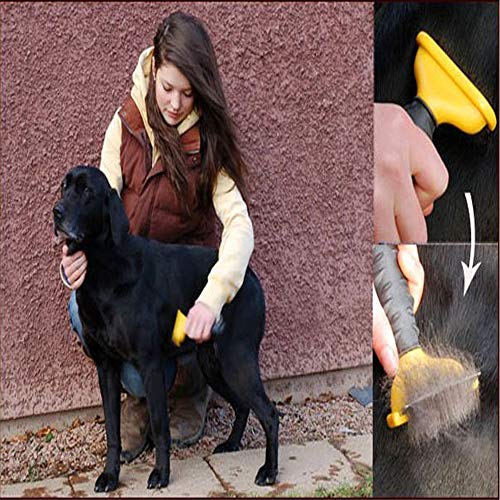 Jason zeng Pet Trim Deshedding Comb, Dog Cat and Horse Dematting Brush Undercoat Grooming Tools, Short Medium or Long Hair Detangler, Effectively Reducing Shedding 95% (Large) - Thumbnail 6